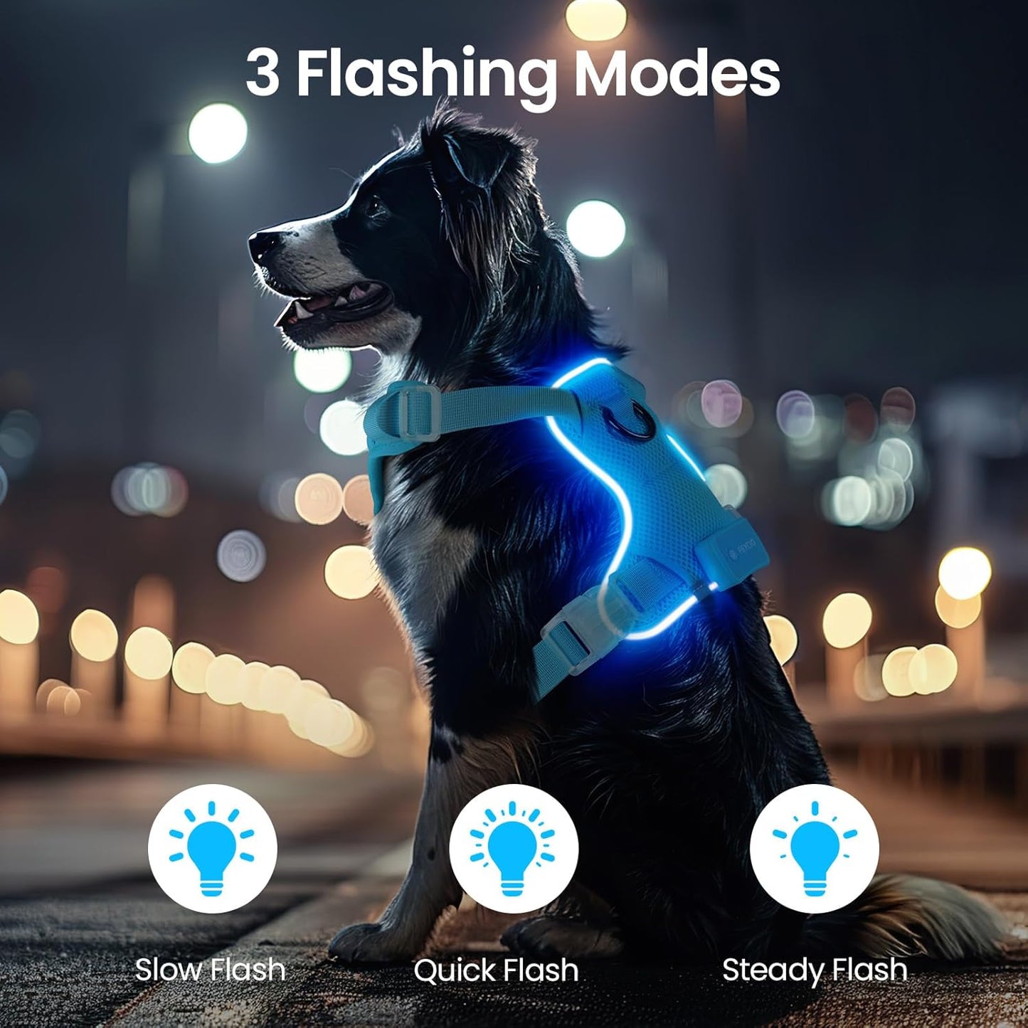 LED Dog Harness